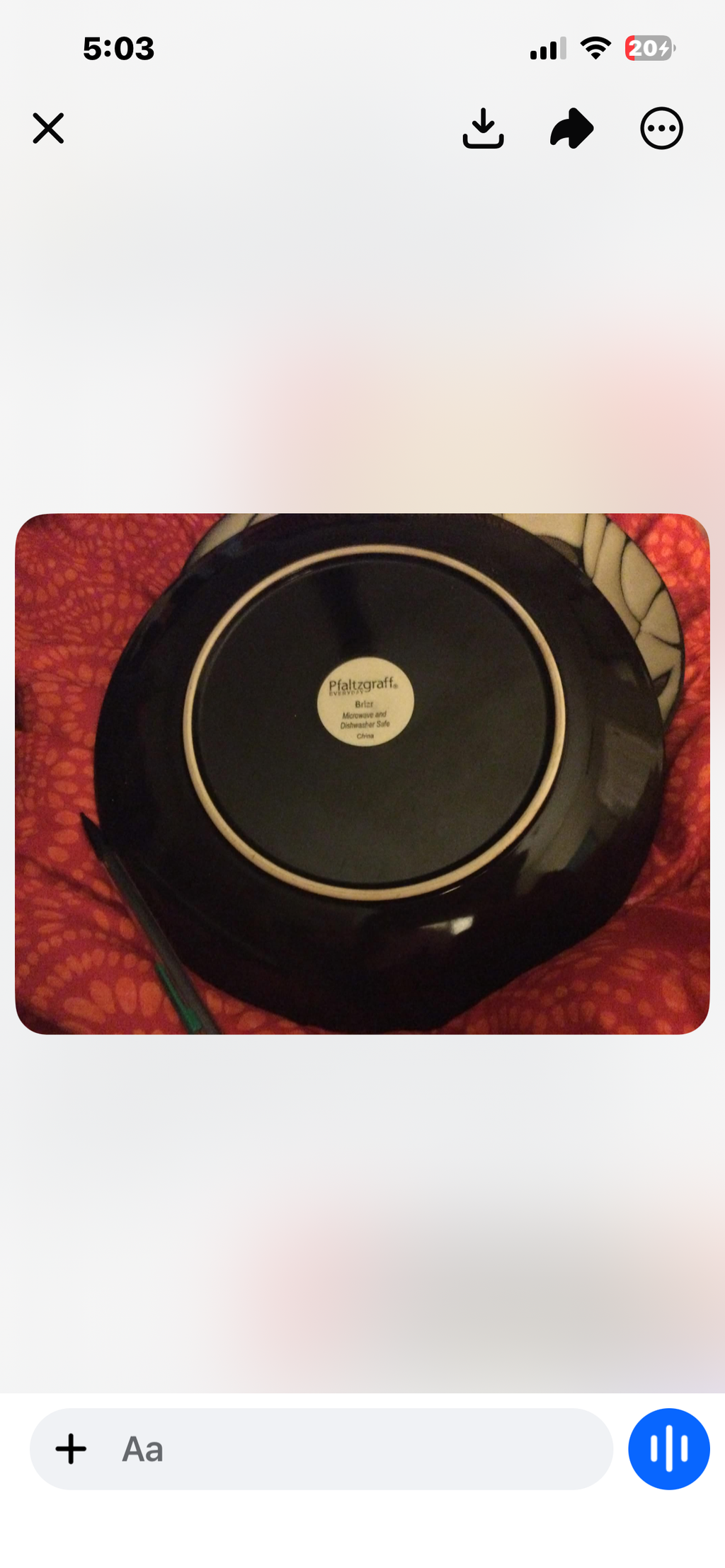 An take Pfaltzgraff salad plates, six of them and dinner plates eight of